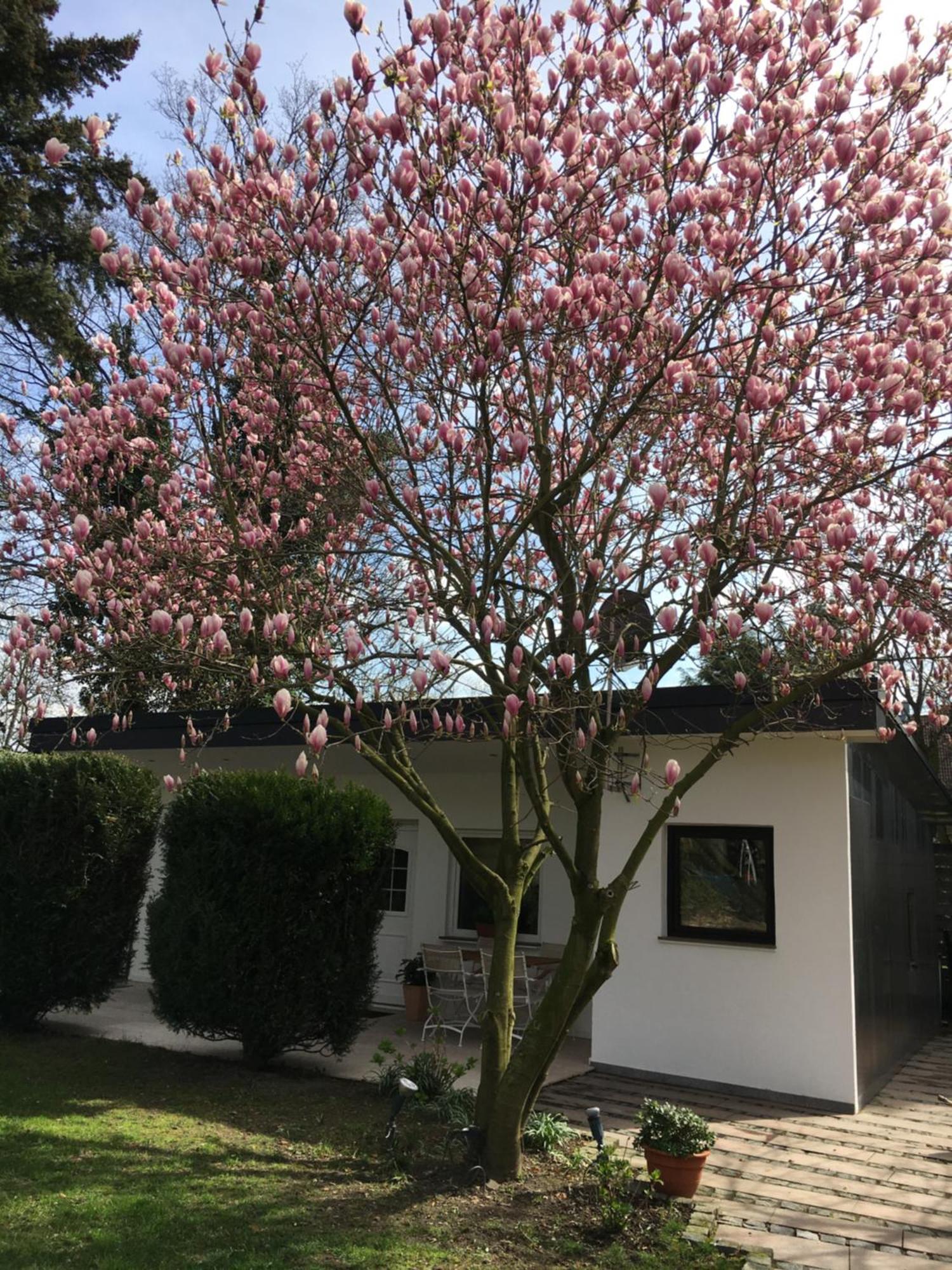 Privat Residence - Boardinghouse Meerbusch Exterior foto